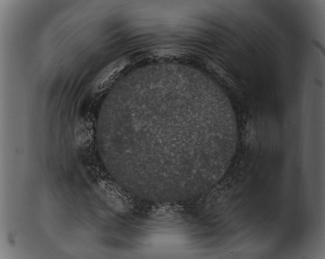 X0000102030824200807181348