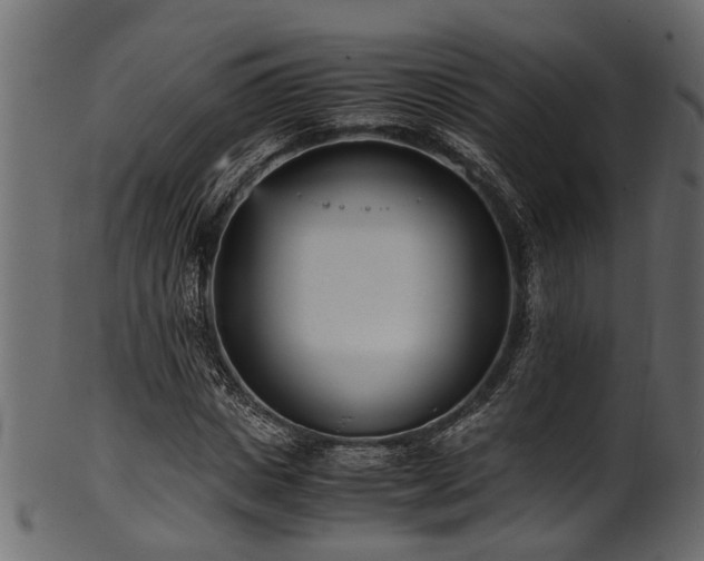 X0000102030825200807181348