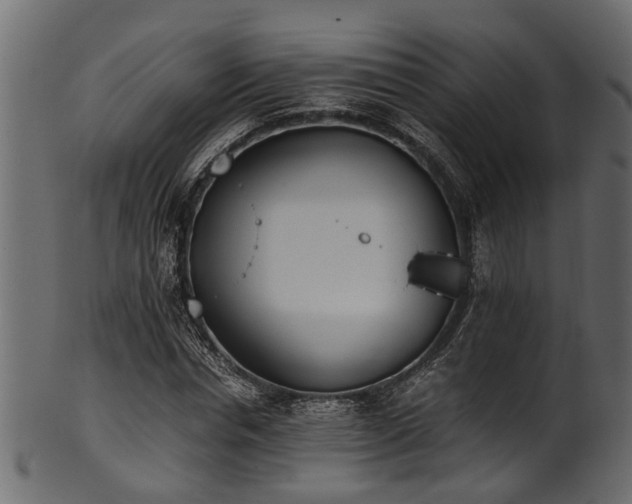 X0000102030826200807181348