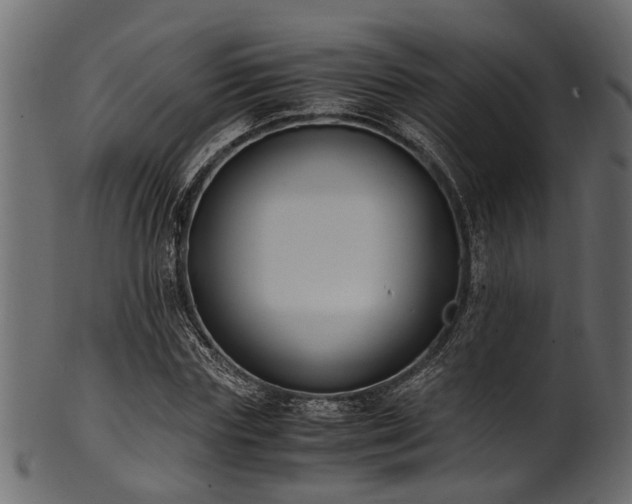 X0000102030827200807181348