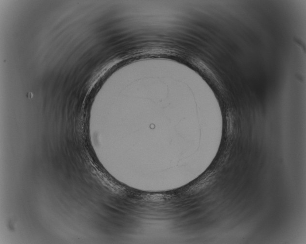 X0000102030828200807181348