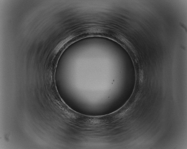 X0000102030829200807181348