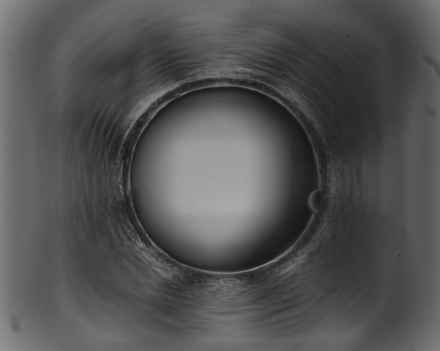 X0000102030830200807181348