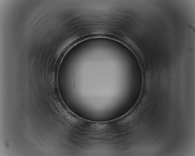 X0000102030831200807181348