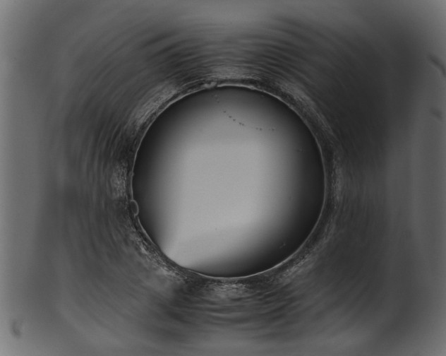 X0000102030833200807181348