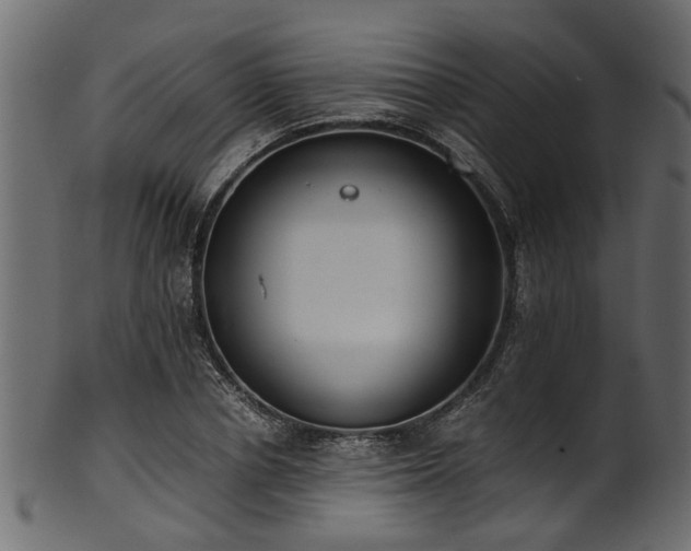 X0000102030834200807181348