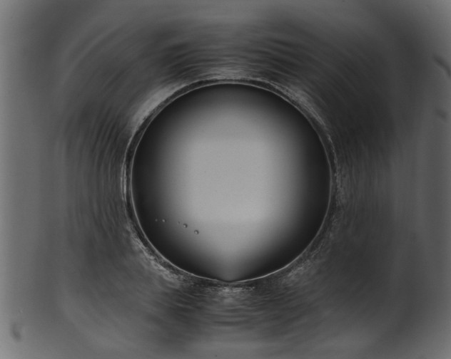 X0000102030839200807181348