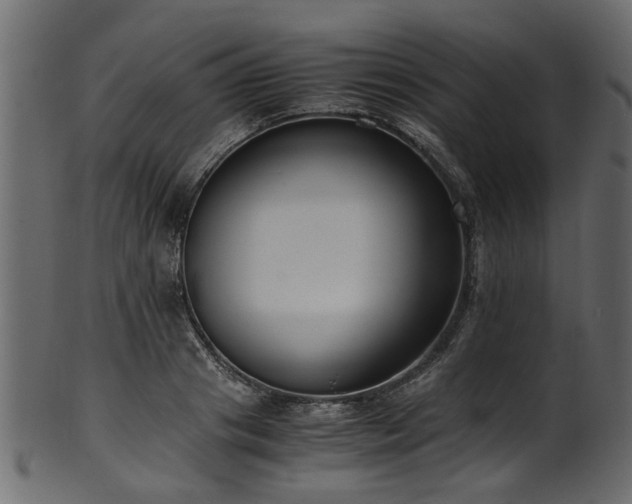 X0000102030841200807181348