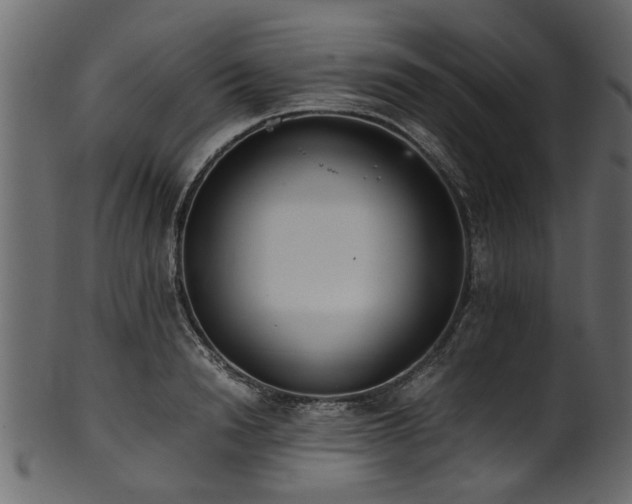 X0000102030846200807181348