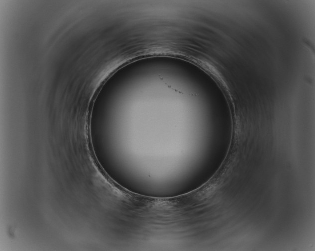 X0000102030847200807181348