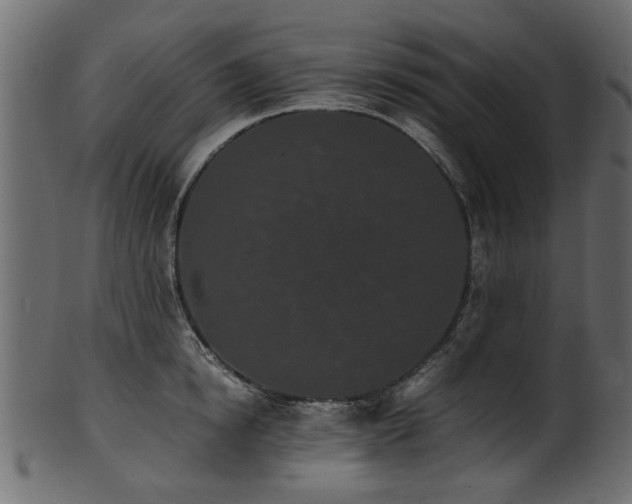 X0000102030854200807181348