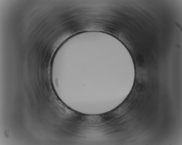 X0000102030856200807181348