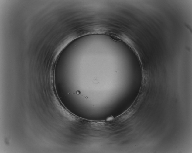 X0000102030859200807181348