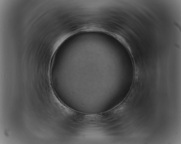 X0000102030863200807181348