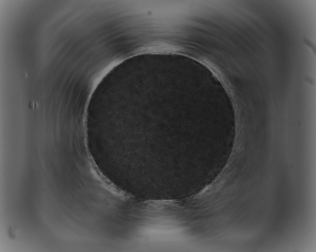 X0000102030864200807181348