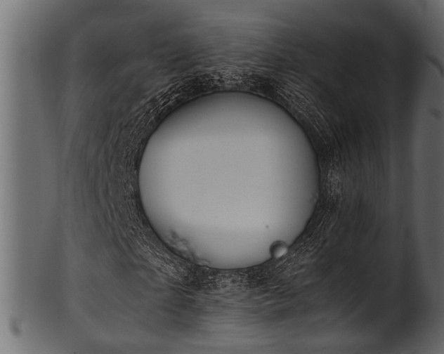 X0000102030865200807181348