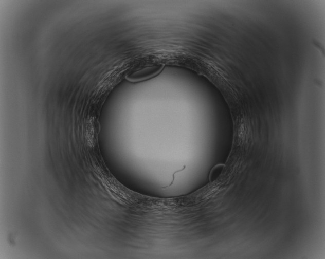 X0000102030868200807181348