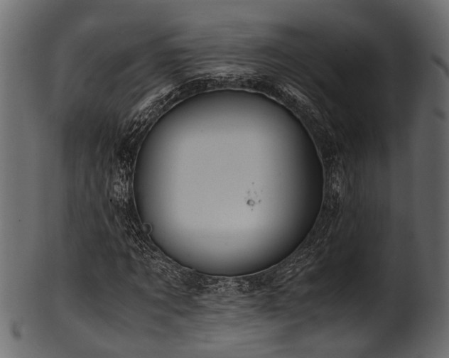 X0000102030869200807181348