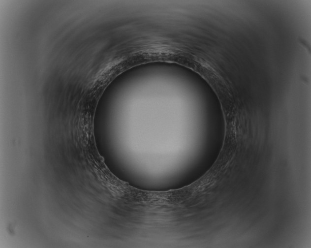 X0000102030870200807181348