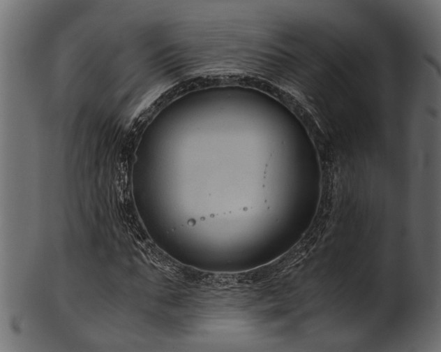 X0000102030871200807181348