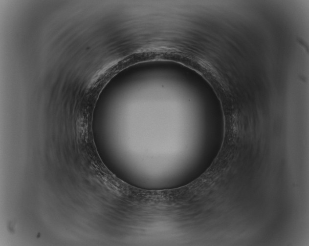 X0000102030872200807181348