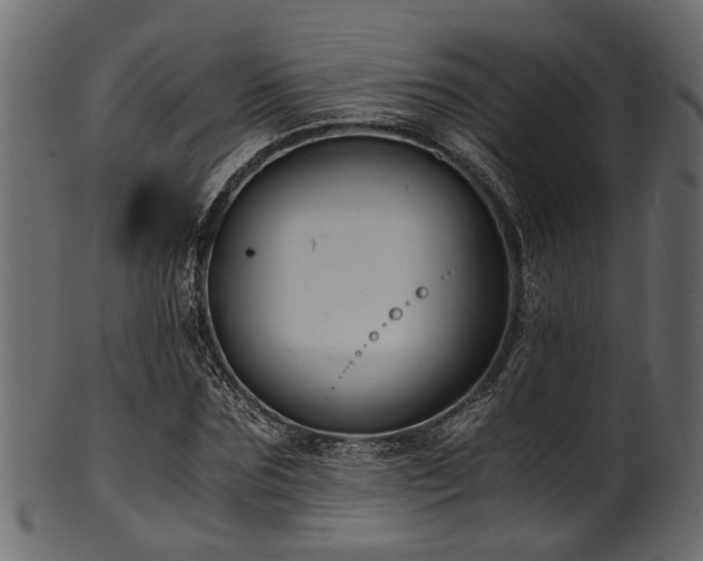 X0000102030875200807181348