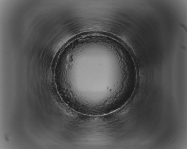 X0000102030879200807181347