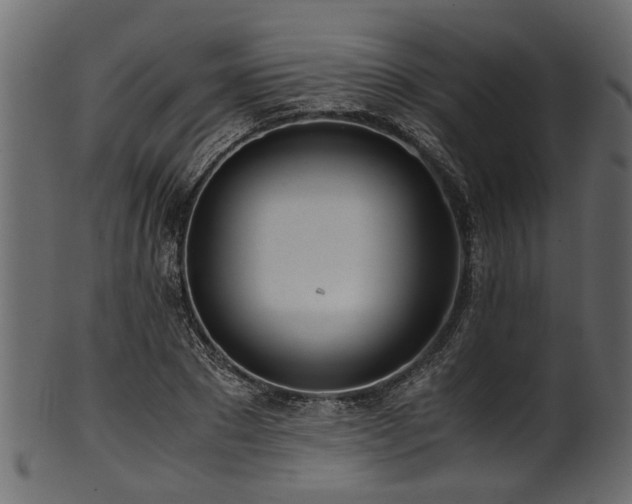 X0000102030881200807181347