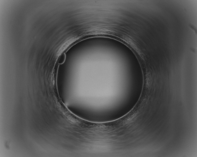 X0000102030885200807181347