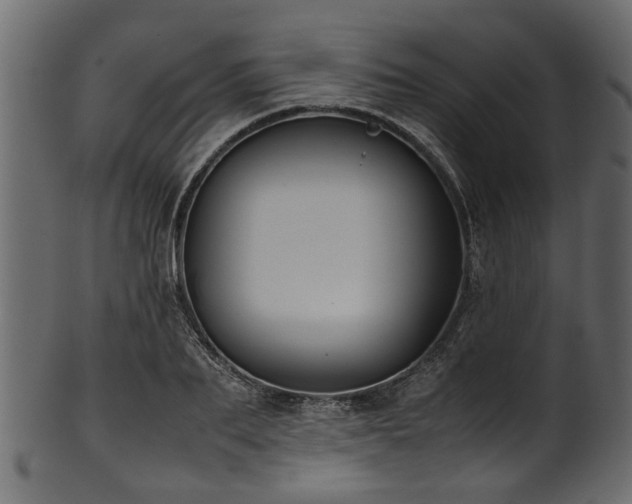 X0000102030887200807181347