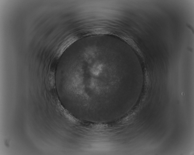 X0000102030889200807181347