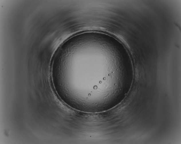 X0000102030895200807181347