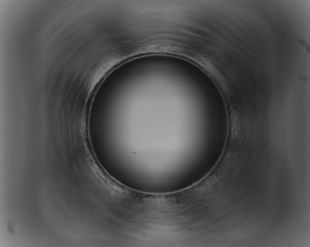 X0000102030896200807181347