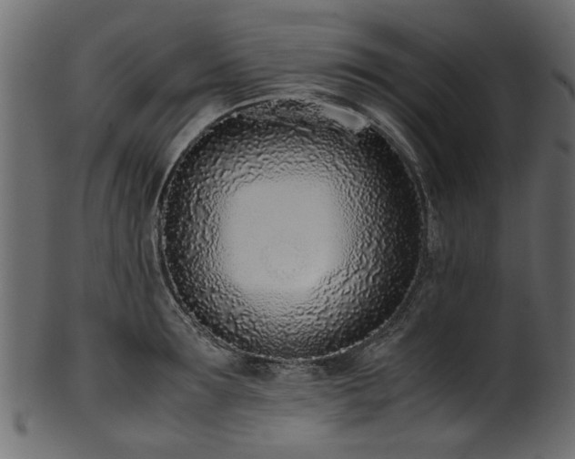 X0000102030899200807181347