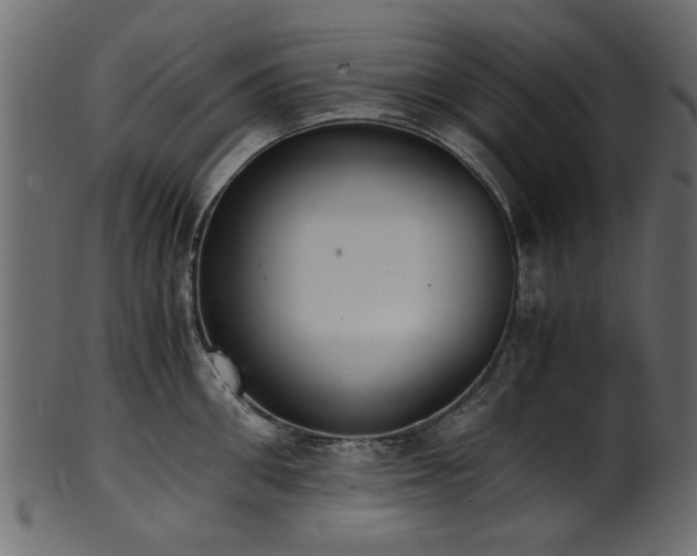 X0000102030906200807181347