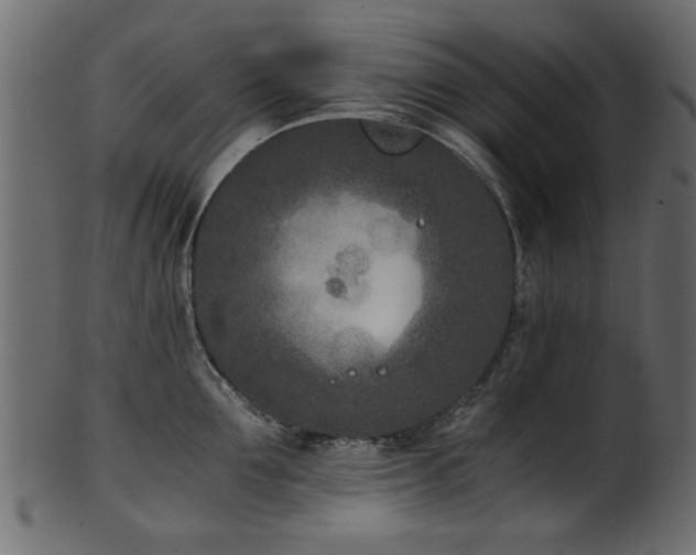 X0000102030907200807181347