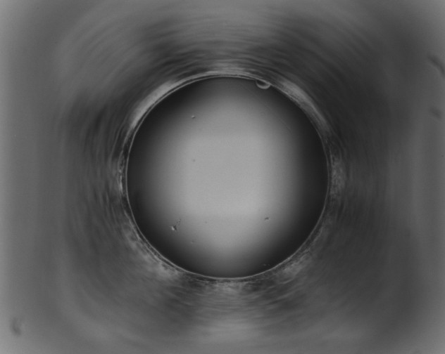 X0000102030908200807181347