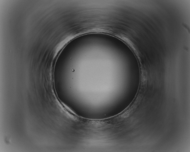 X0000102030910200807181347