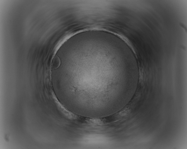 X0000102030911200807181347