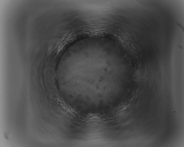 X0000102030913200807181346