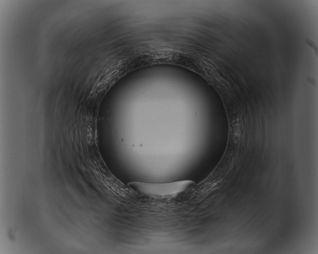 X0000102030916200807181346