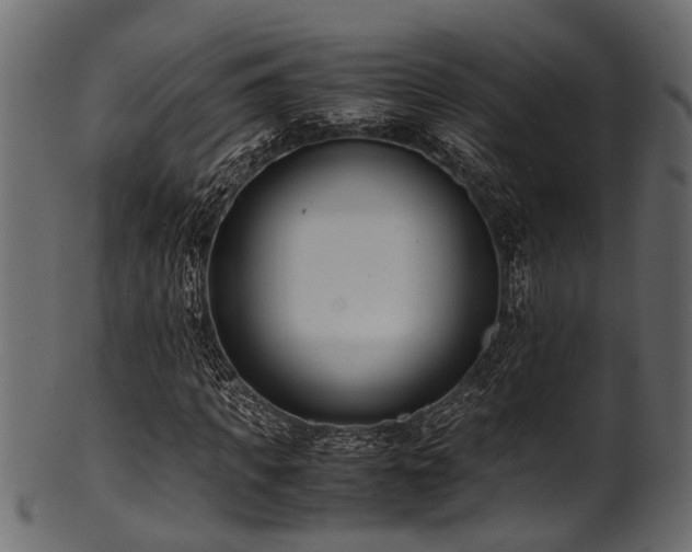 X0000102030917200807181346