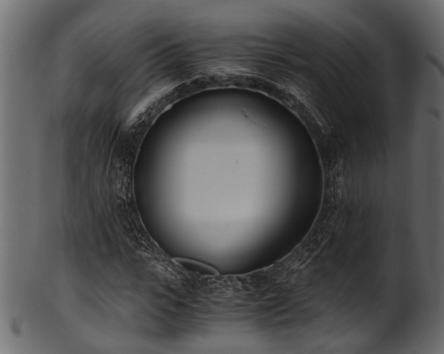 X0000102030919200807181346