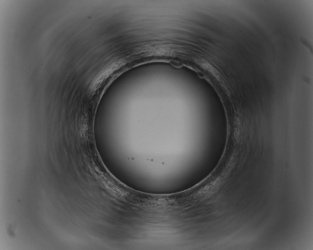 X0000102030922200807181346