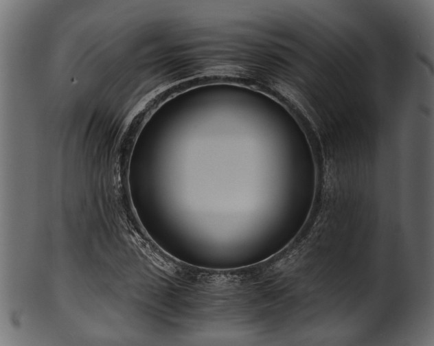 X0000102030923200807181346