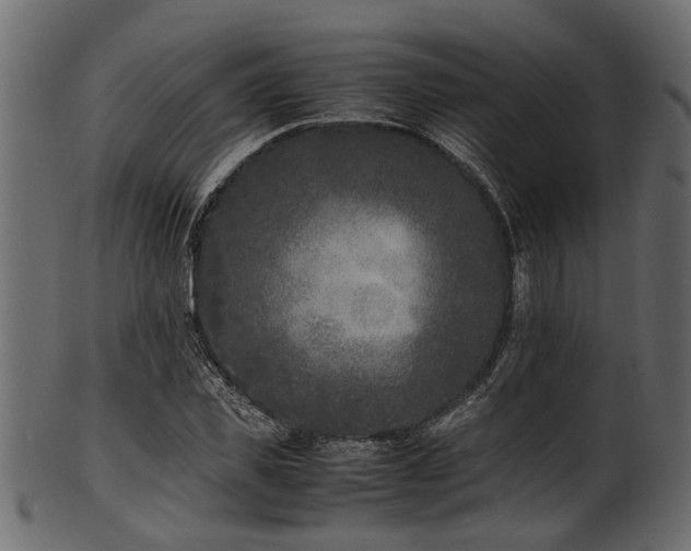 X0000102030925200807181346