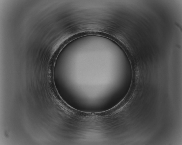 X0000102030926200807181346