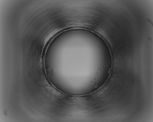 X0000102030928200807181347