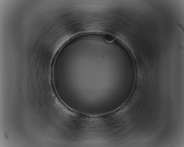 X0000102030941200807181347