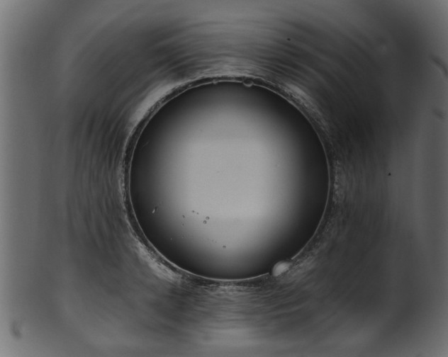 X0000102030942200807181347